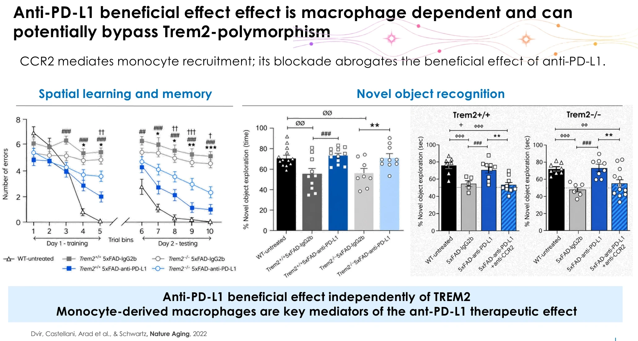 Anti-PD-L1 beneficial effect is macrophage dependent and can potentially bypass Trem2 polymorphism: spatial learning and novel object recognition in Trem2+/+ and Trem2-/- 5xFAD mice (Dvir-Szternfeld et al., Nature Aging, 2022).