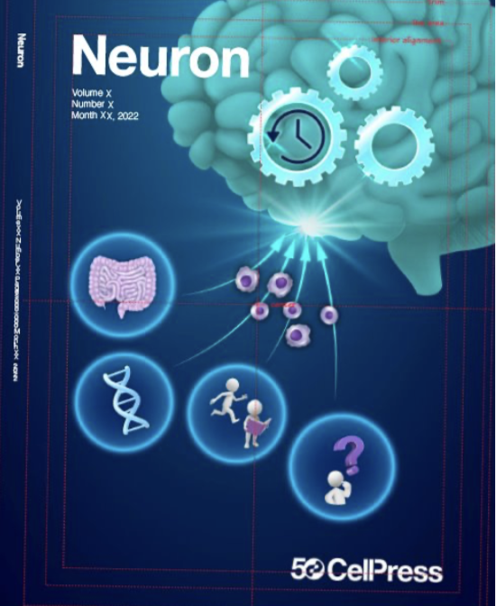 Neuron journal cover: gut, genetics, lifestyle and unknown factors converge on the ageing brain.