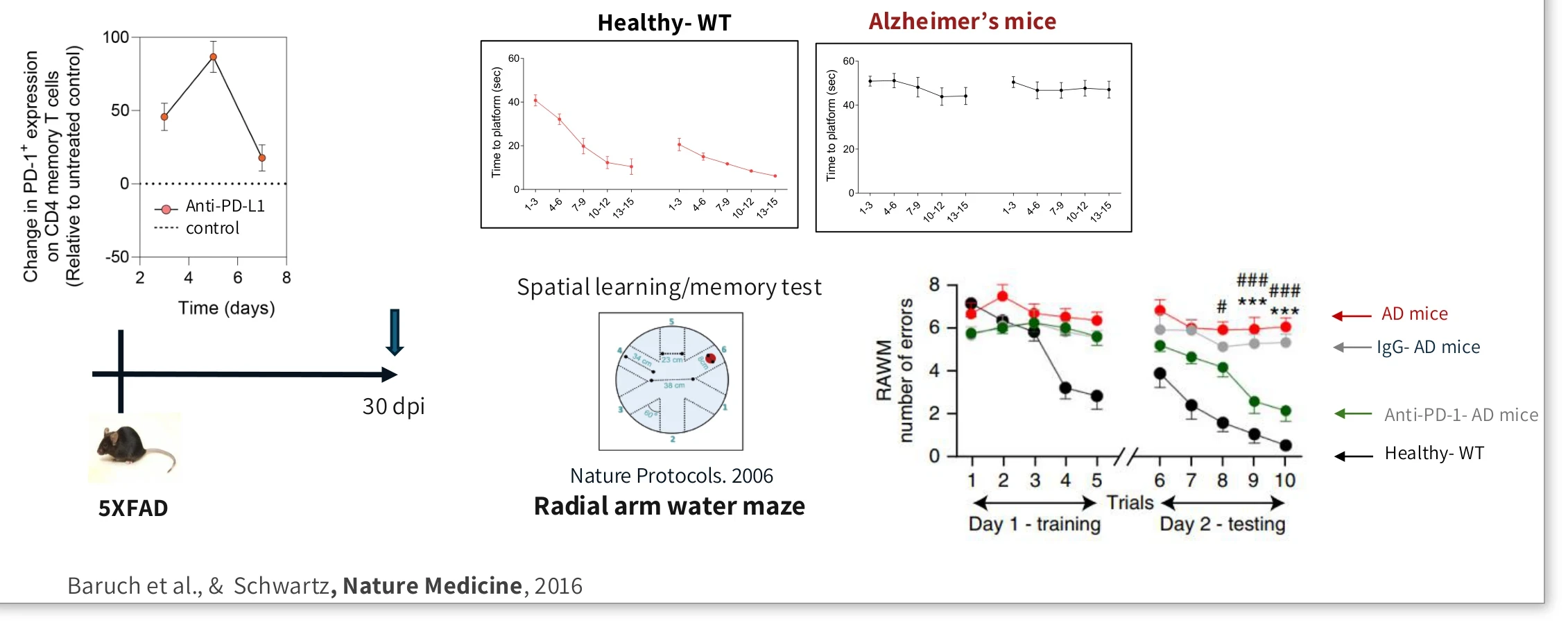 Change in PD-1 expression on CD4 memory T cells over time, and radial arm water maze errors in 5xFAD mice after anti-PD-L1 (Baruch et al., Nature Medicine, 2016).